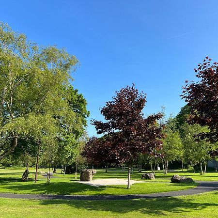 'Maigue View' By The River Croom Exteriör bild
