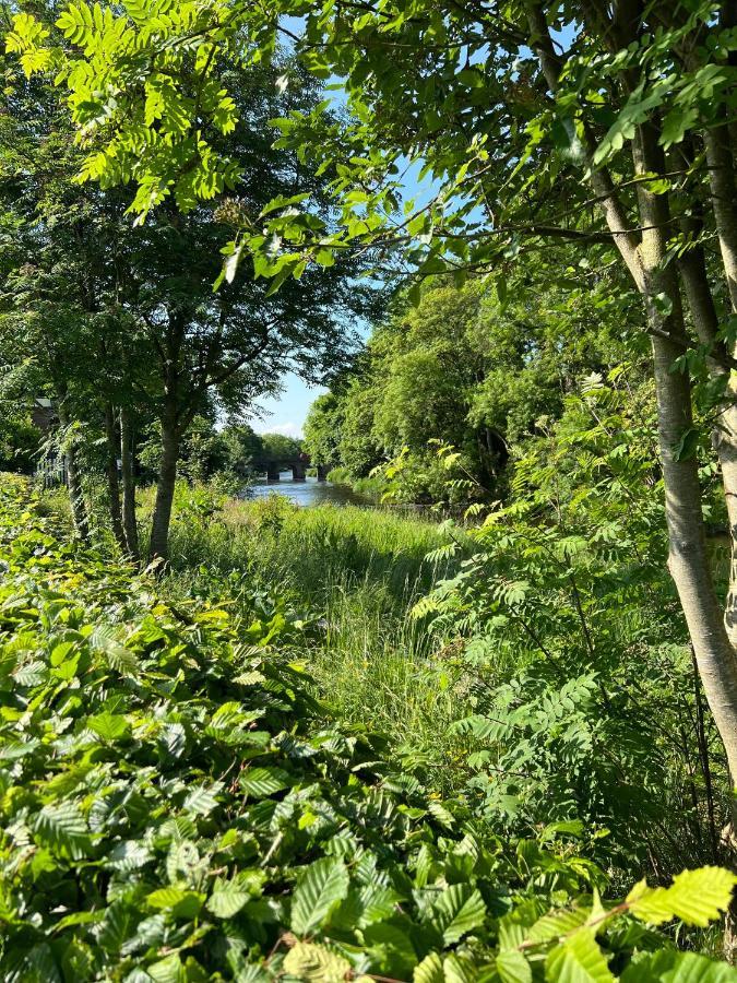 'Maigue View' By The River Croom Exteriör bild