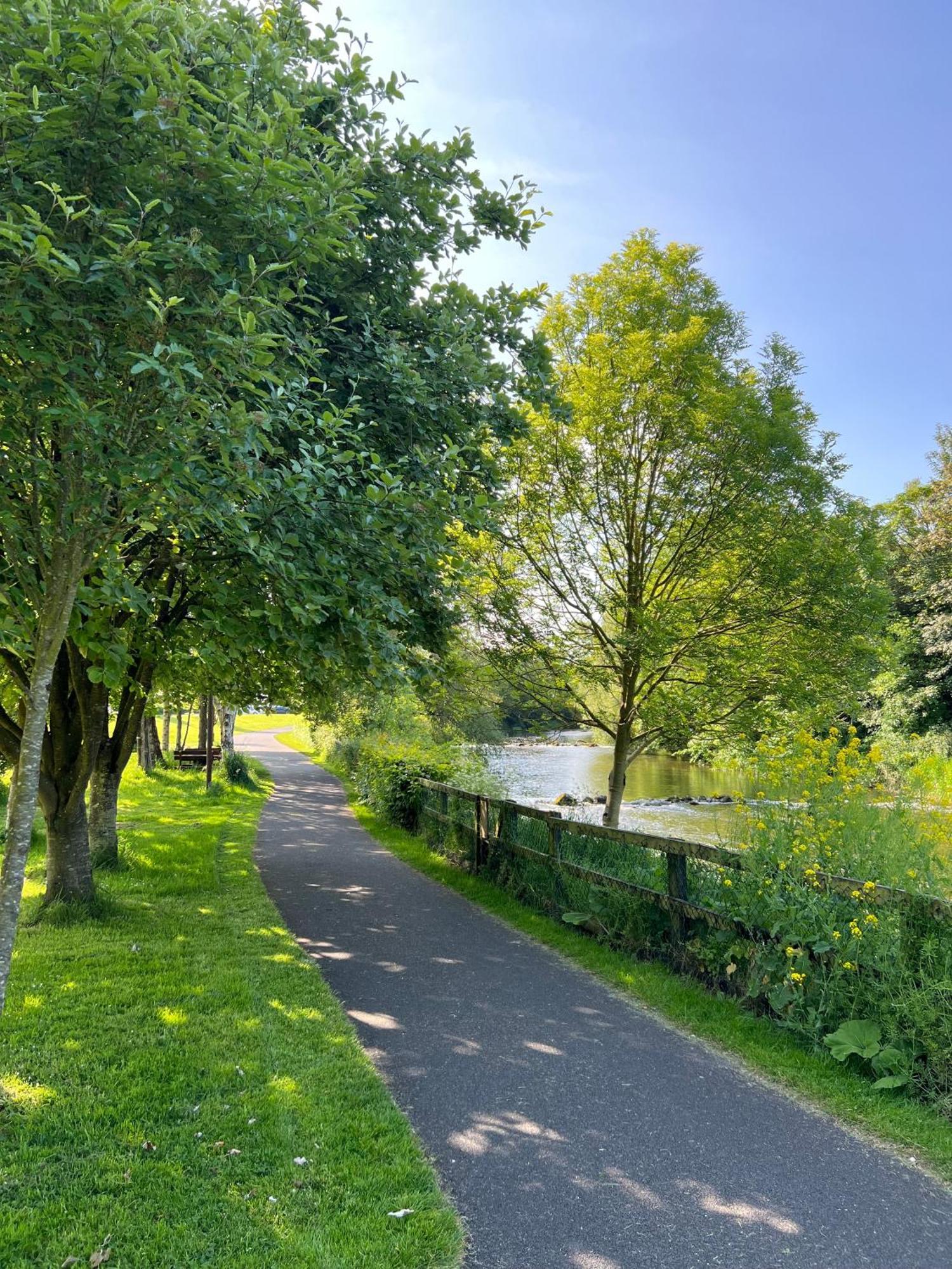 'Maigue View' By The River Croom Exteriör bild